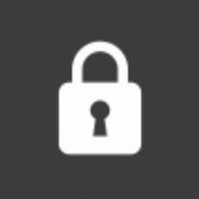 bezpečnostní dveře