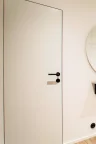 FLUSHED DOOR IN A CONCEALED FRAME