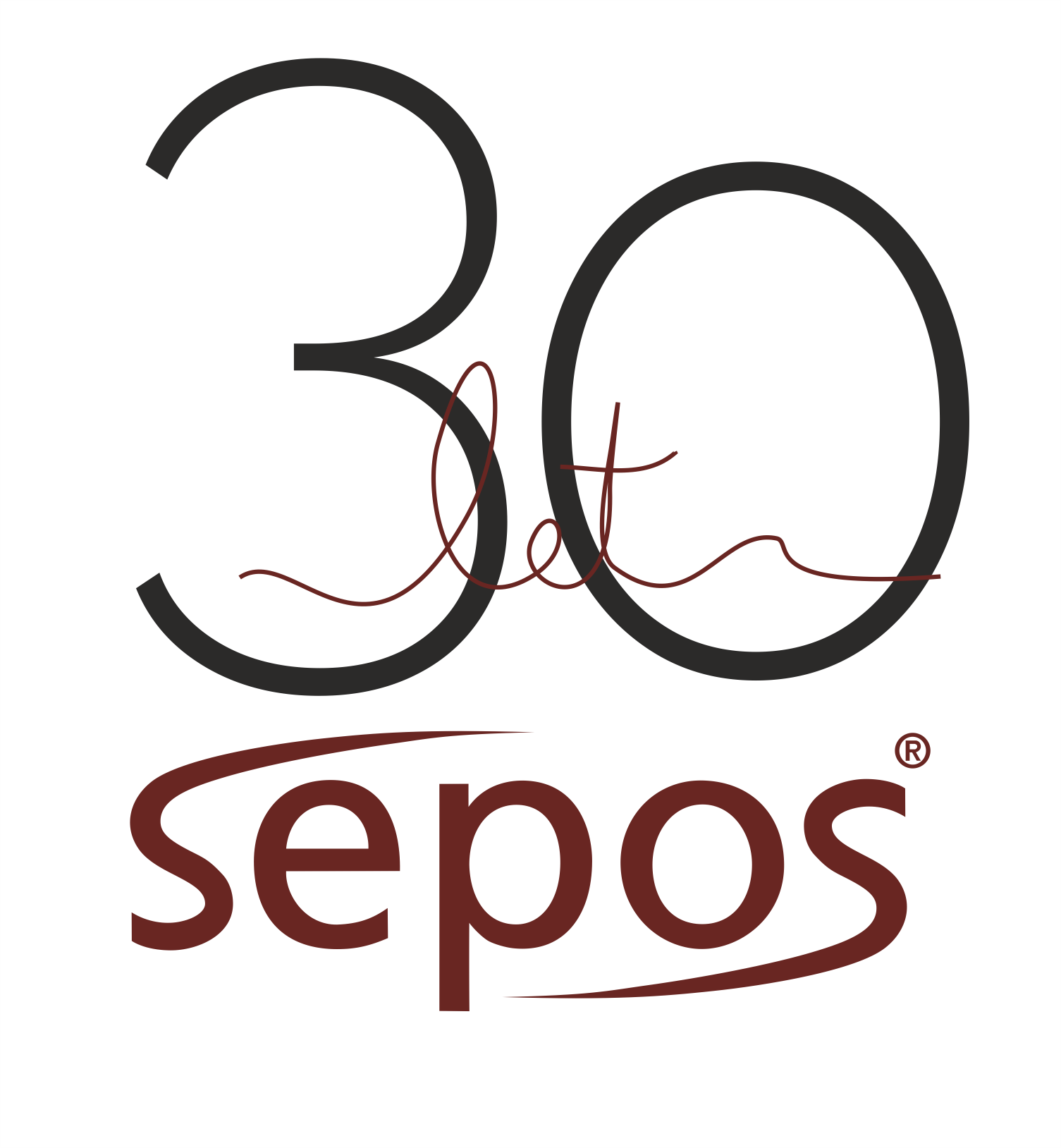 logo 30 let